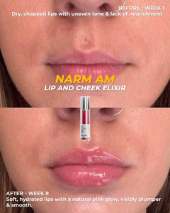 AM Moringa Lip & Cheek Tint Oil Duo