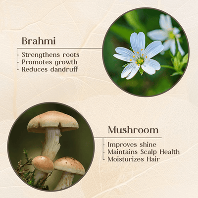 Kesaa - Mushroom & Brahmi Hair Growth Therapy Shampoo