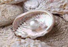 Pearl (Mukta Pishti)